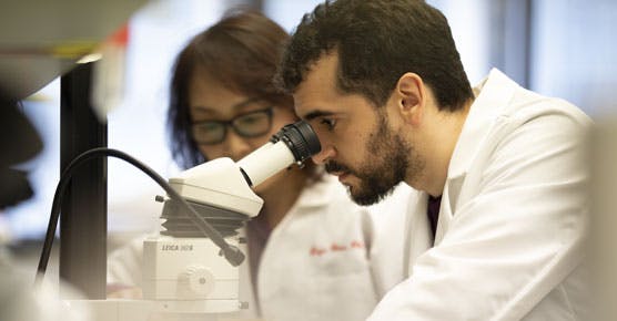 male and female researcher in lab looking into microscope
